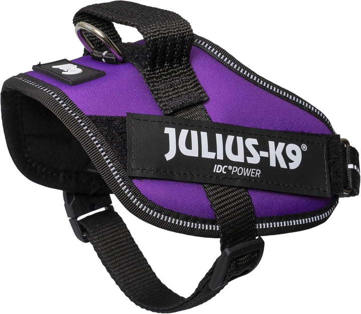 Julius-K9, IDC Powergeschirr, Grösse: XS/Mini-Mini, Dunkelviolett Dunkelviolett XS/Mini-Mini, Dunkel