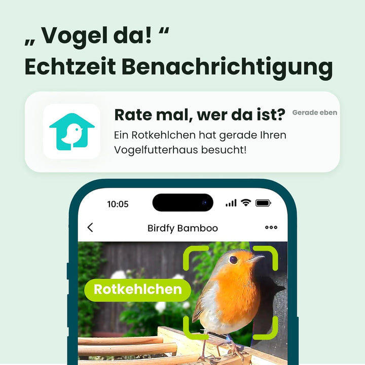 NETVUE by Birdfy Vogelfutterhaus mit Kamera zur Live-Beobachtung Nachtsicht, Solarbetrieb Bambus WLA