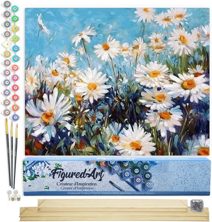 Figured'Art Malen Nach Zahlen Erwachsene Mit Rahmen Gänseblümchen und blauer Himmel - Paint by Numbe