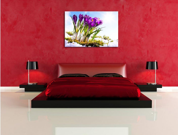 Pixxprint Kunst Frühling Flower Hintergrund / 100x70cm Leinwandbild bespannt auf Holzrahmen/Wandbild