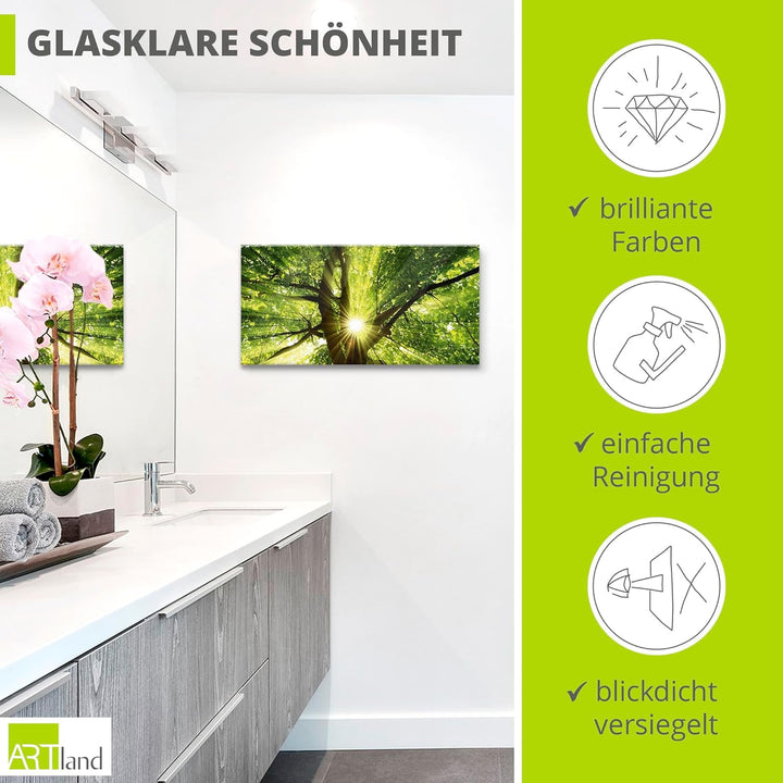 Glasbilder Wandbild Glas Bild einteilig 60x30 cm Querformat Wald Natur Botanik Bäume Laubbaum Sonne