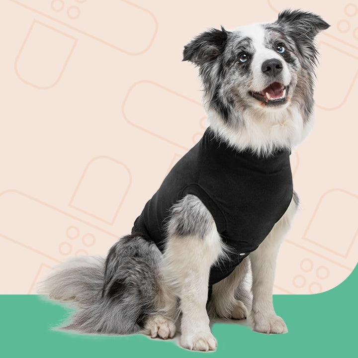 Suitical Recovery Suit Hund, M+, Schwarz
