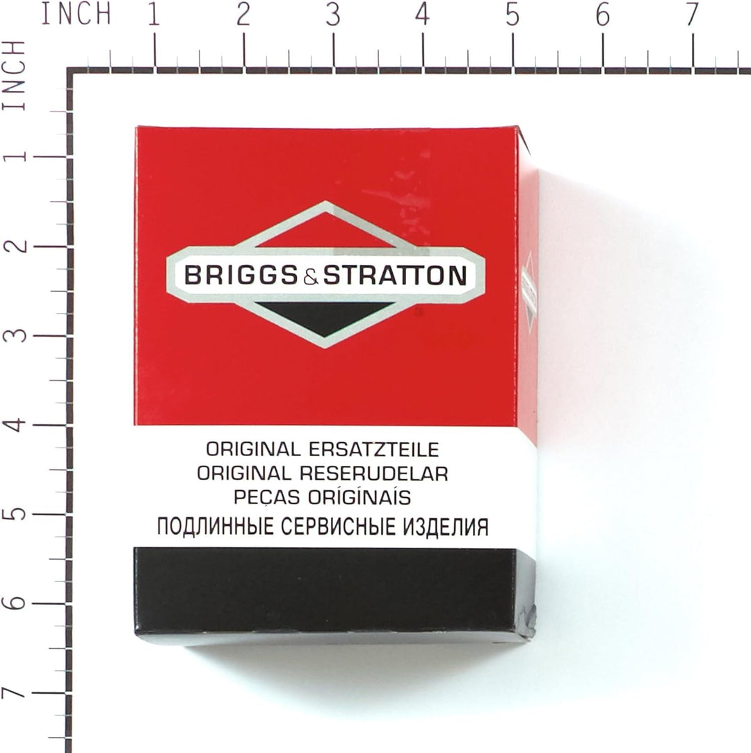Briggs & Stratton 594593 Vergaser, Vergaser