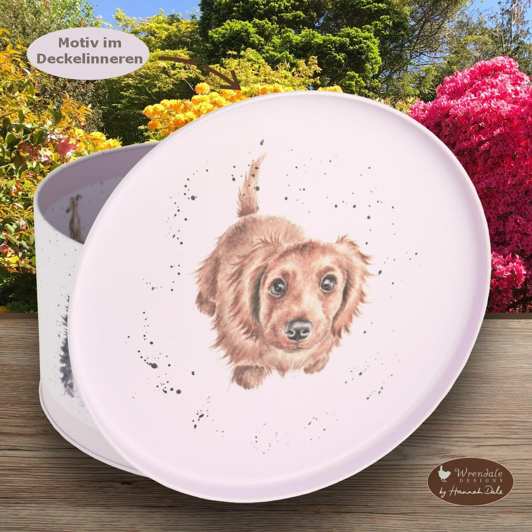 440s Wrendale Designs Keksdose Spaniel & Tulpen | WD-CTN005-XL