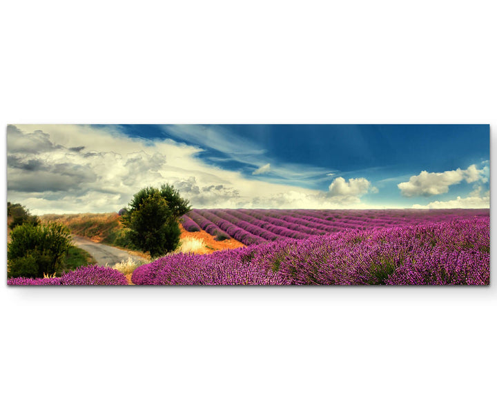 Paul Sinus Art Leinwandbilder | Bilder Leinwand 150x50cm Lavendel Felder bei blauem Himmel, 150x50cm