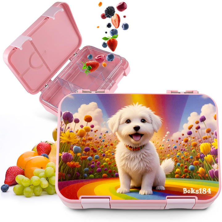 Brotdose Kinder mit Fächern - Bento Box auslaufsicher - robust - BPA Frei Lunchbox - Brotbox für Sch