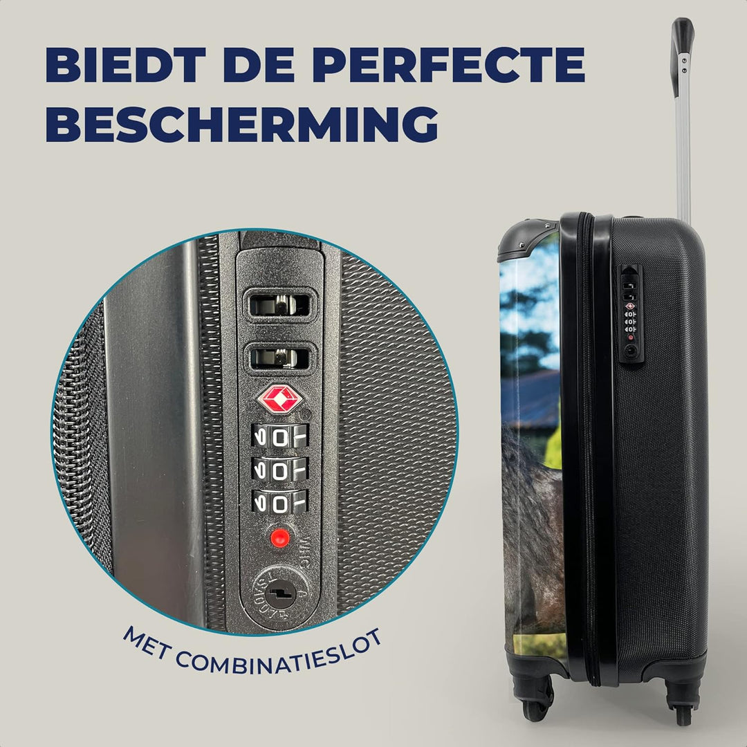 MuchoWow© Koffer Handgepäck Trolley Rollkoffer Kleine Reisekoffer mit 4 Rollen - Sonne - Friesisch -