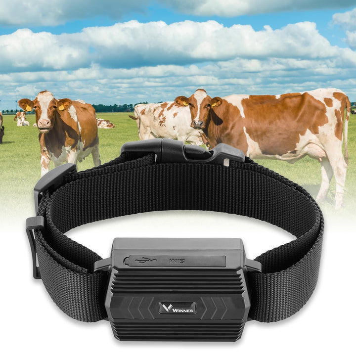 4G GPS Tracker Tier mit Halsband, 3000mAh Wasserdicht Rinder Schaf GPS-Tracker Weiden Anti Verloren