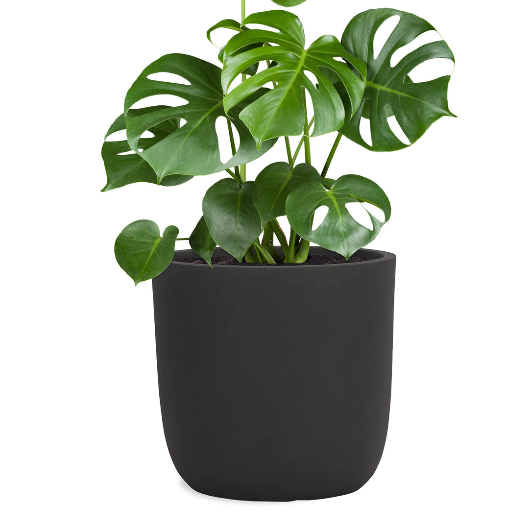 Pflanzwerk® Pflanzkübel Cup - Blumentöpfe Übertöpfe 27cm Ø ANTHRAZIT *Frostbeständige Blumenkübel* *