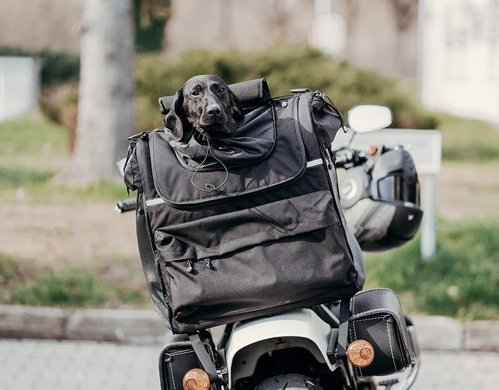 DEEMEED PETBAG Motorradtasche für Hunde und Katzen (11-15 kg), wasserdicht, tragbar, dreifach belüft