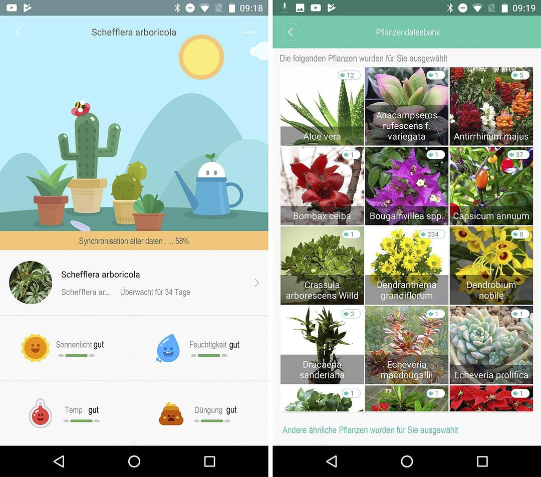 Royal Gardineer Zubehör zu Plant Sensor: 2er-Set 4in1-Pflanzensensoren mit Bluetooth und App-Kontrol