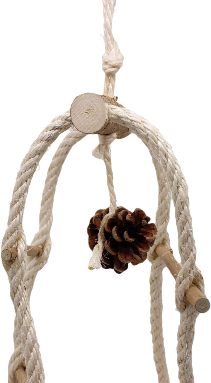 Vogelgaleria® Wellensittich Spielplatz – XXL Vogelschaukel hängend 70cm aus Naturholz, Freiflug &amp; Kl