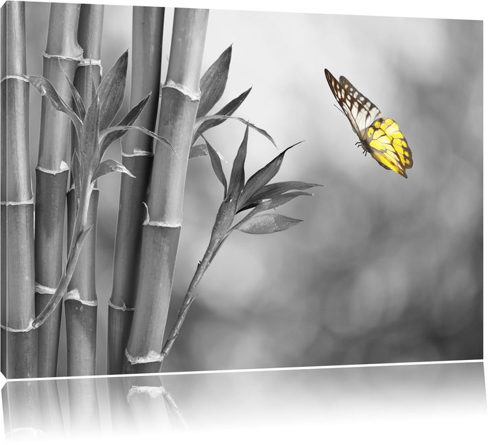 schöner Schmetterling vor Bambus schwarz/weiss Format: 100x70 auf Leinwand, XXL riesige Bilder ferti