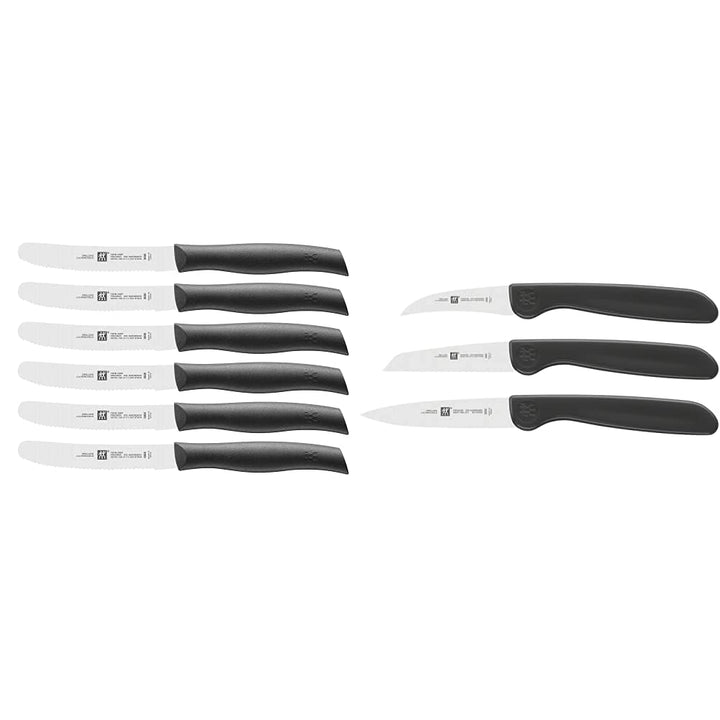 ZWILLING Messer-Set, 6-tlg., Frühstücksmesser, Klingenlänge: 12 cm, Rostfreier Spezialstahl/Kunststo
