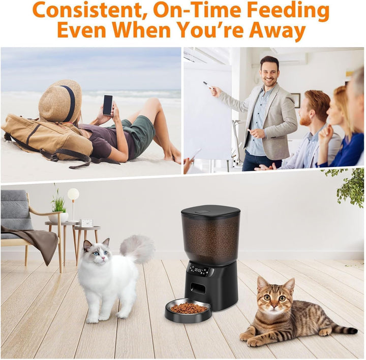 Futterautomat Katze, 4L Katzenfutter Automat mit Programmierbarem Timer und Edelstahlnapf, 1-6 Mahlz