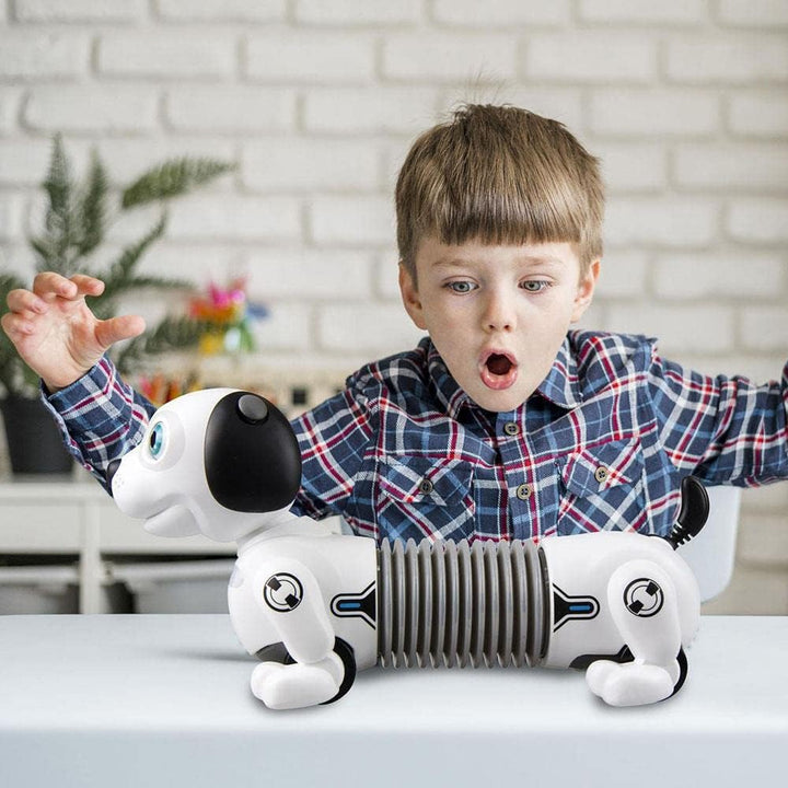 JUNIOR ROBO DACKEL Mehrfarbig, Mehrfarbig