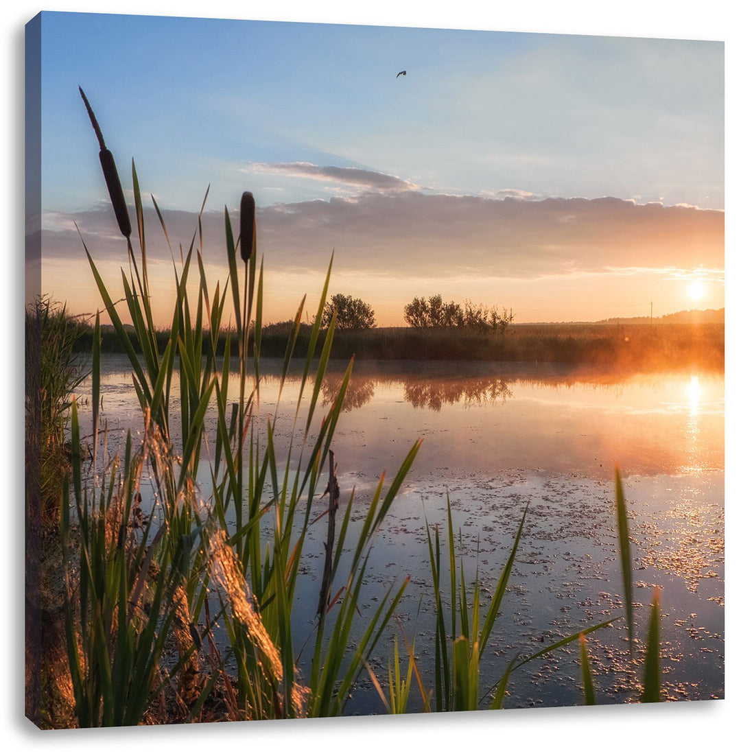 Sonniger Morgen am See, Format: 70x70 auf Leinwand, XXL riesige Bilder fertig gerahmt mit Keilrahmen