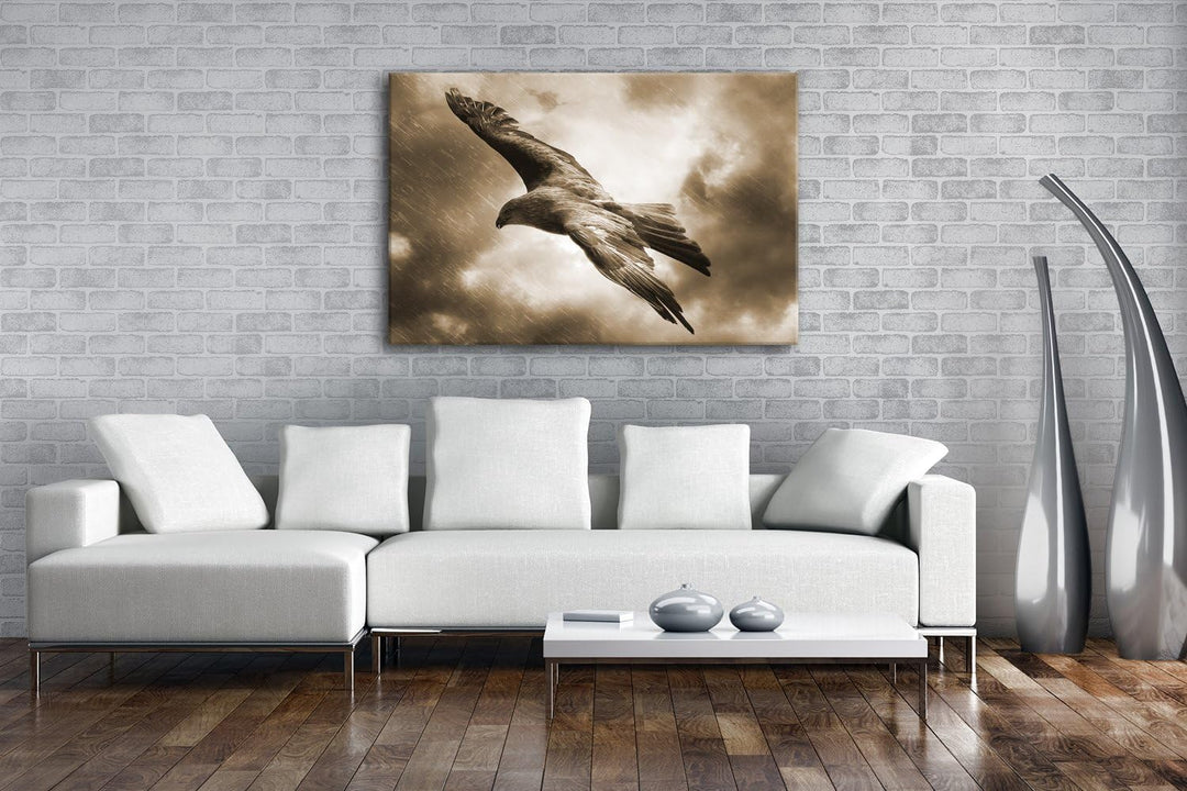 gewaltiger Adler in den Wolken Format: 80x60 Effekt: Sepia als Leinwandbild, Motiv fertig gerahmt au