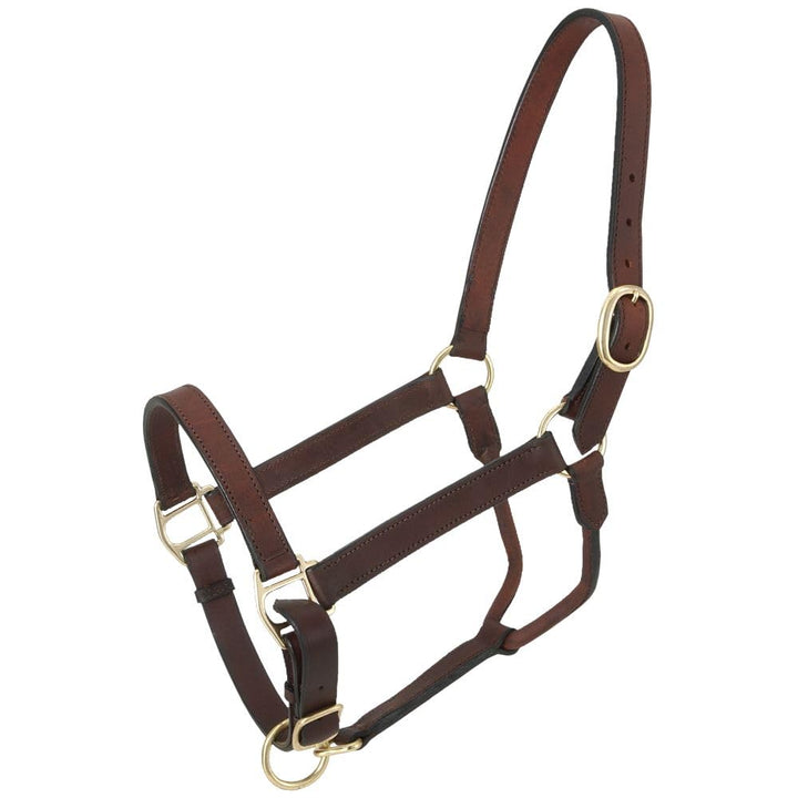 Tough 1 Royal King Halfter aus Leder Braun, Braun