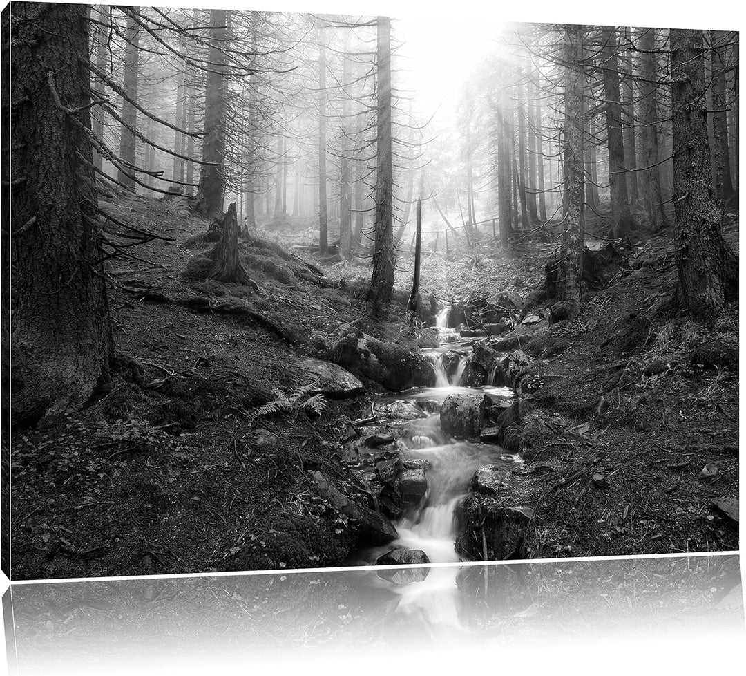 Bach im Wald Kunst B&W, Format: 100x70 auf Leinwand, XXL riesige Bilder fertig gerahmt mit Keilrahme
