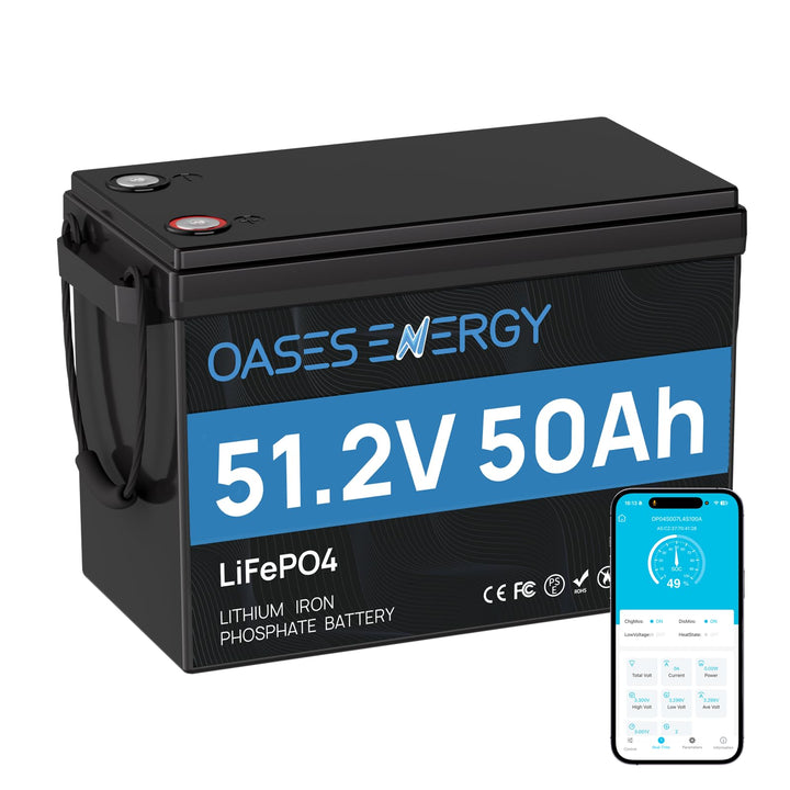 48V 50Ah LiFePO4 Lithium Batterie Mini mit Bluetooth, 50A BMS, Deep Cycles 48V LiFePO4 Batterie, 256