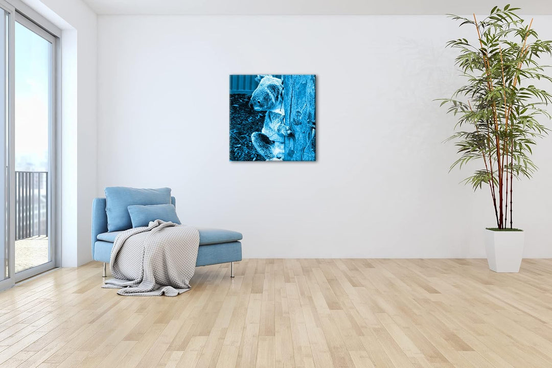 deyoli niedlicher Koala in Australien Format: 70x70 Effekt: Monocrome Blau als Leinwandbild, Motiv f