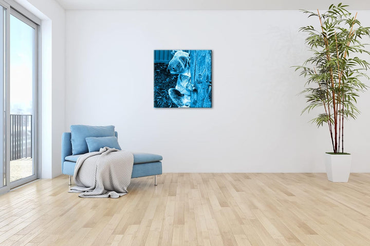 deyoli niedlicher Koala in Australien Format: 70x70 Effekt: Monocrome Blau als Leinwandbild, Motiv f