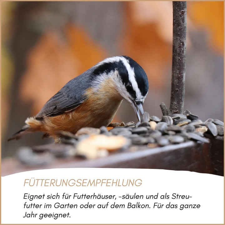 SUPRAVIT Sonnenblumenkerne Vogelfutter 25kg geschält I Frische ölhaltige Kerne aus besten Anbaugebie