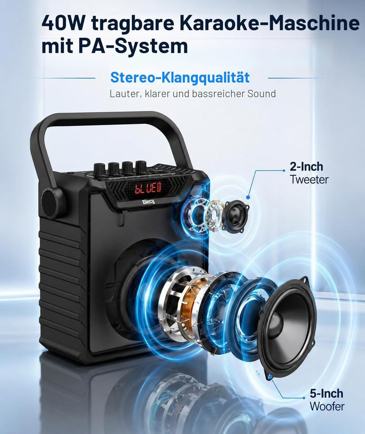 Sprachverstärker mit 2 drahtlosen UHF Mikrofonen,Karaoke Maschine PA-System,Tragbarer Bluetooth Laut