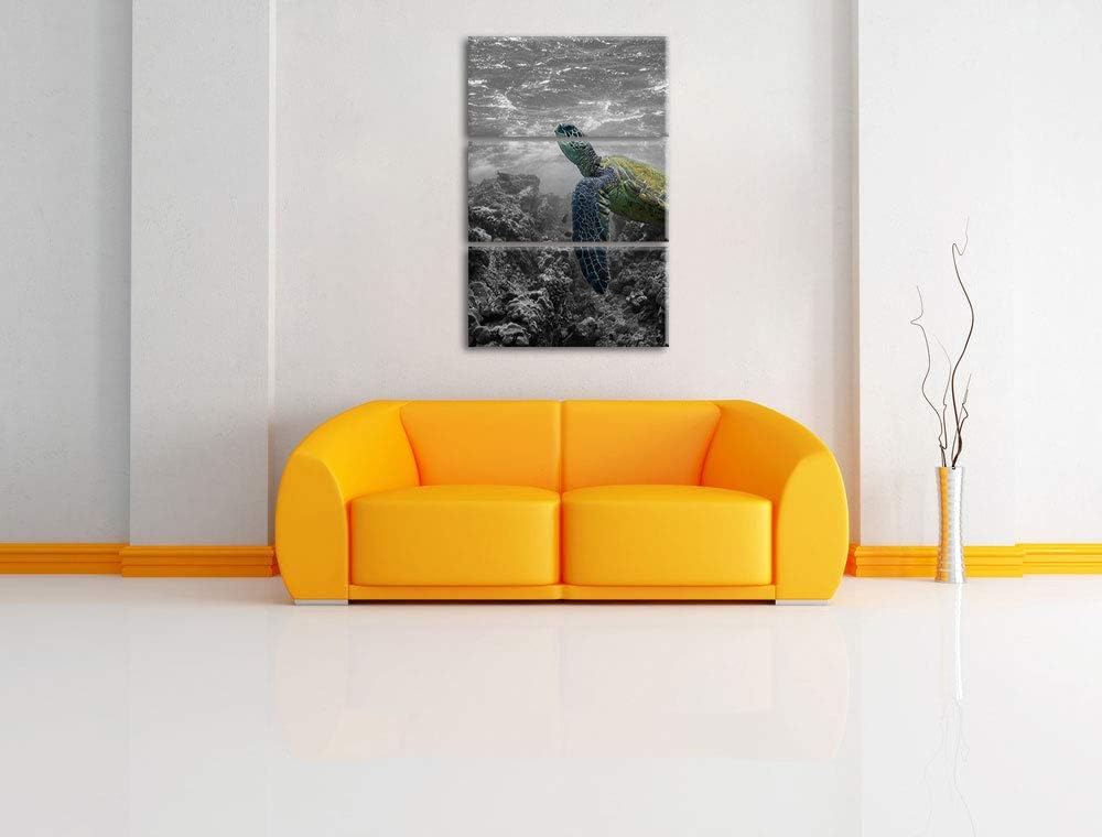 Schildkröte und Korallen im Ozean schwarz/weiss 3-Teiler Leinwandbild 120x80 Bild auf Leinwand, XXL