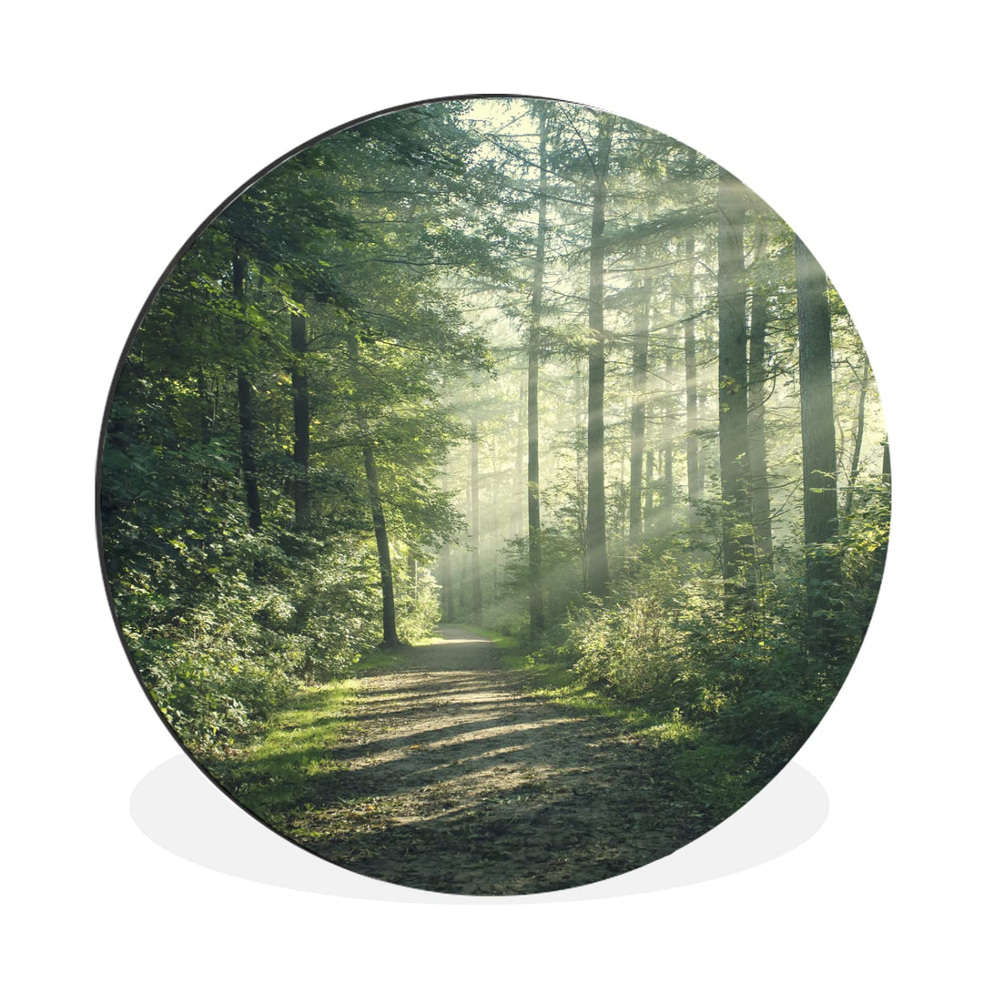 MuchoWow Wandbild Rund Wanddeko Deko Wohnzimmer Bilder 30x30 cm Wald - Licht - Weg 30L x 30B cm, 30L