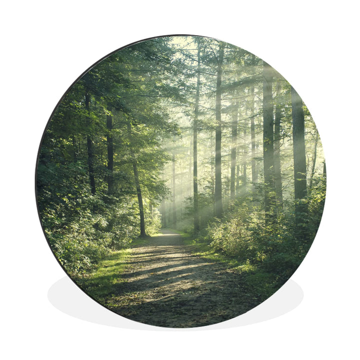 MuchoWow Wandbild Rund Wanddeko Deko Wohnzimmer Bilder 30x30 cm Wald - Licht - Weg 30L x 30B cm, 30L