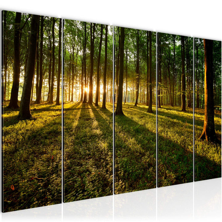 Runa Art Bild Wald Landschaft Wandbilder auf Vlies Leinwand 5 Teilig Wanddekoration Schlafzimmer Woh