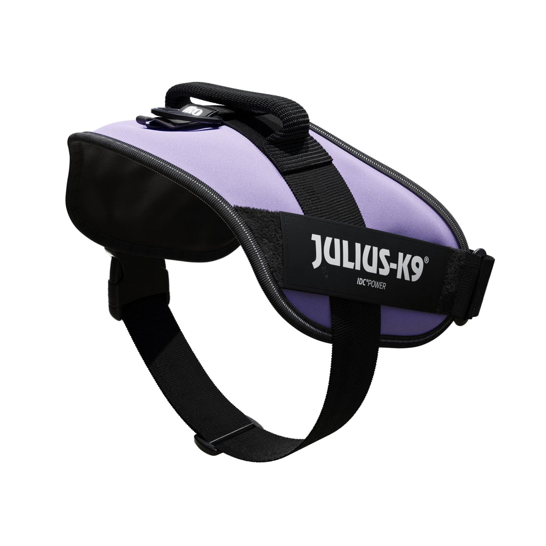 Julius-K9, IDC Powergeschirr, Grösse: XL / 2, Lila Lila XL / 2, Lila XL / 2