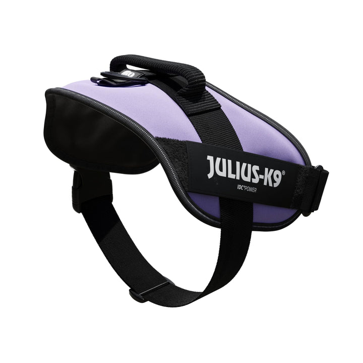 Julius-K9, IDC Powergeschirr, Grösse: XL / 2, Lila Lila XL / 2, Lila XL / 2