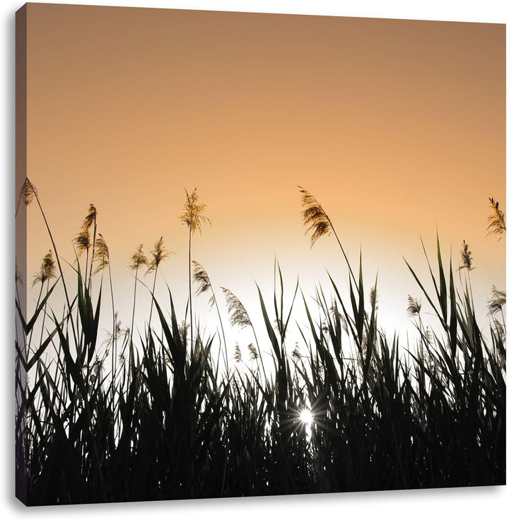 Pixxprint Schilfufer bei Dämmerung als Leinwandbild Quadratisch/Grösse: 70x70 / Wandbild/Kunstdruck/