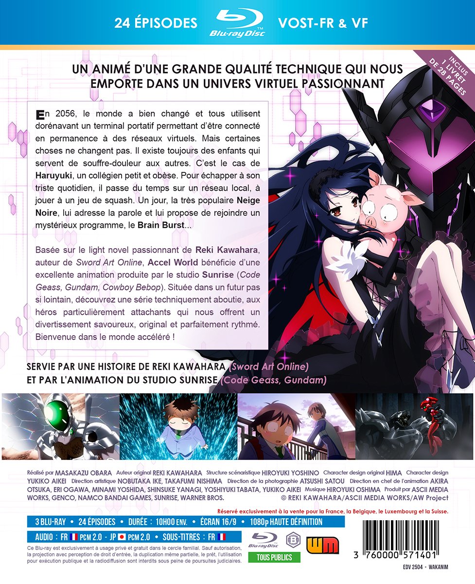 ACCEL WORLD INTEGRALE ED Saphir BRD [Blu-ray] [FR Import], Blu-ray