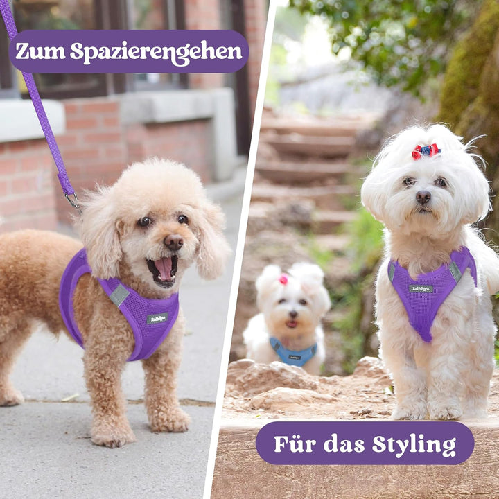 rabbitgoo Hundegeschirr Kleine Hunde, Step-in Welpengeschirr Weich Mesh für Spaziergänge, Atmungsakt