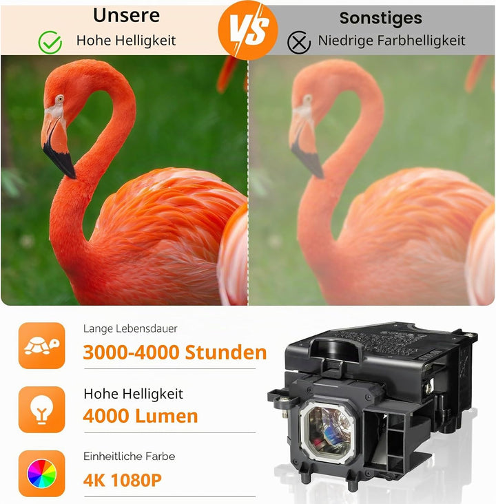 NP16LP Ersatz Projektor Lampe mit Gehäuse für NEC M260WS / M300W / M300XS / M350X / M300WG / M260WSG