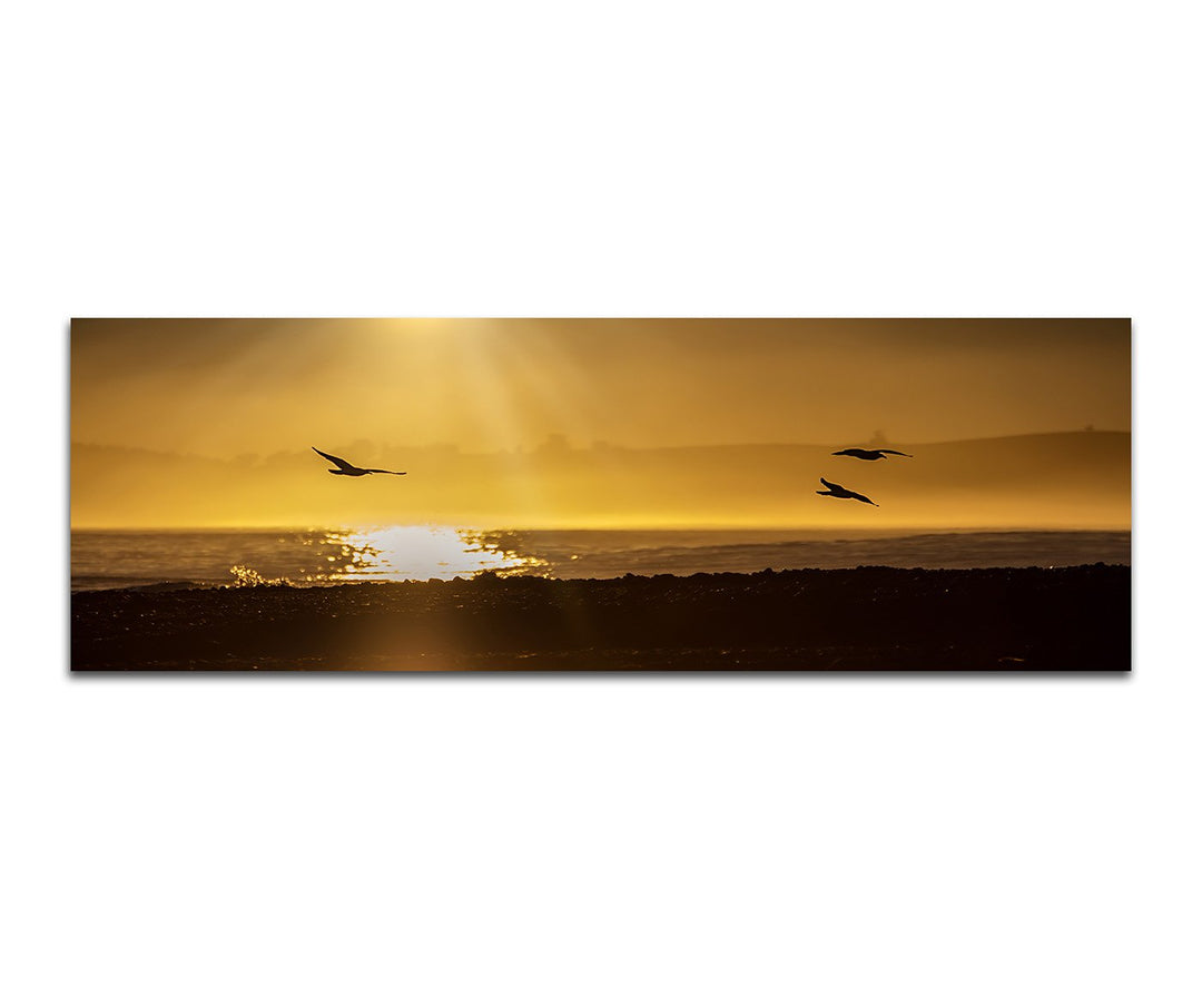 Paul Sinus Art Panoramabild auf Leinwand und Keilrahmen 150x50cm Neuseeland Meer Strand Möwen Sonnen