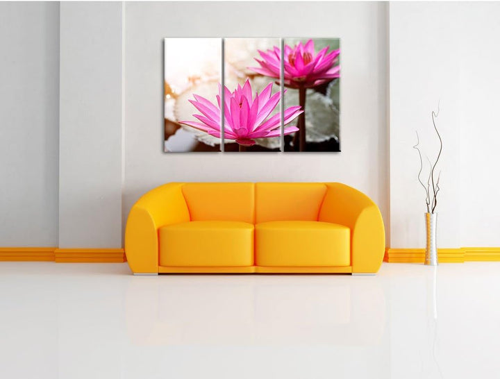 Pixxprint Lilafarbene Wasserlilie als Leinwandbild | Grösse: 3 Teilig (120x80) | Wandbild| Kunstdruc