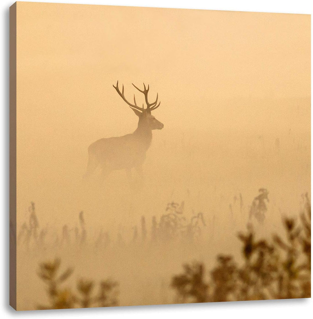 Pixxprint Hirsch im Nebel, Format: 70x70 auf Leinwand, XXL riesige Bilder fertig gerahmt mit Keilrah