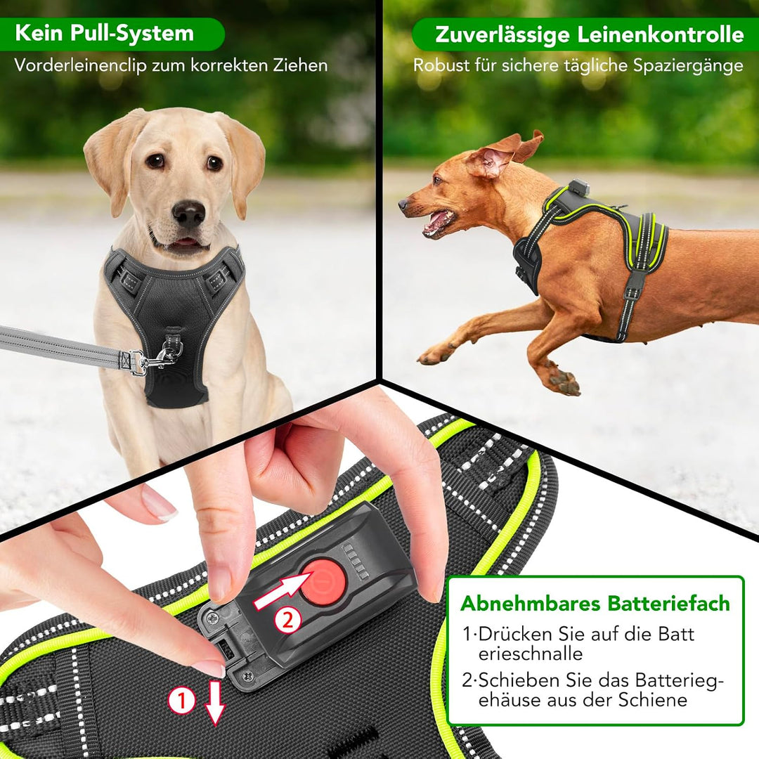Hundegeschirr Leuchtend Wiederaufladbares Leuchtgeschirr für Hunde Led Beleuchtetes Hundegeschirr fü