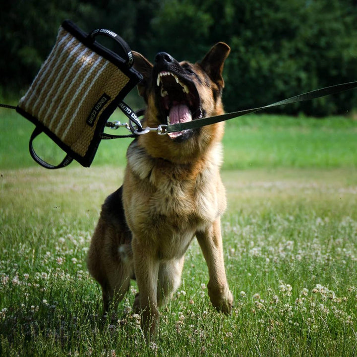 Dingo Gear Beisskissen aus Jute Keilform Medium Extra Ausbildung IGP IPO K9 Hundetraining S00519 Jut