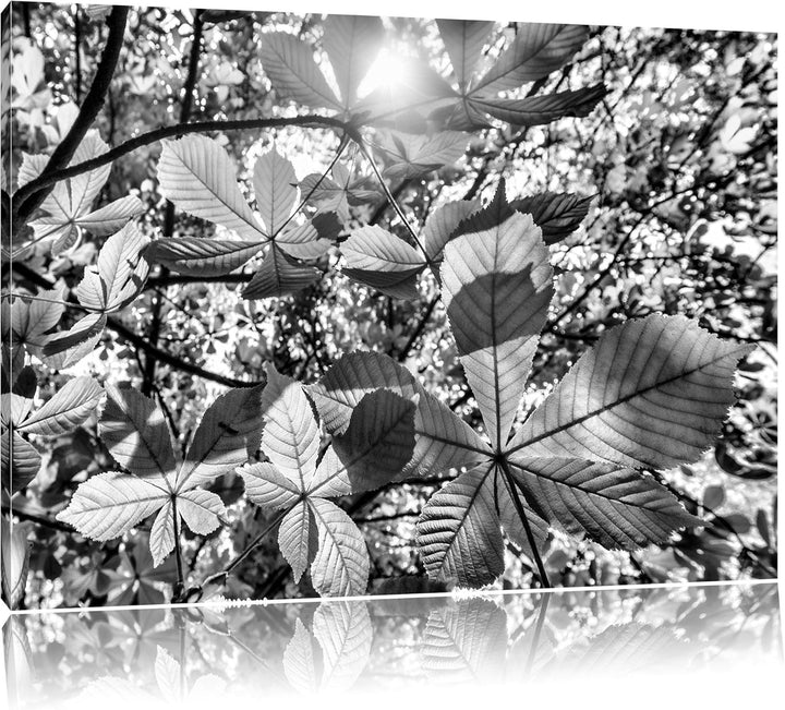 Monocrome, Grüne Blätter, Format: 100x70 auf Leinwand, XXL riesige Bilder fertig gerahmt mit Keilrah