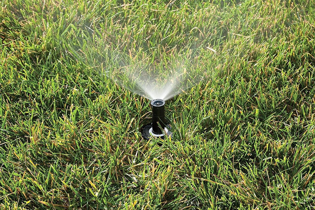Rain Bird 1804QDSP25 Druckregulierender (PRS) Professioneller Doppelsprüh-Sprinkler, 90° Viertelkrei