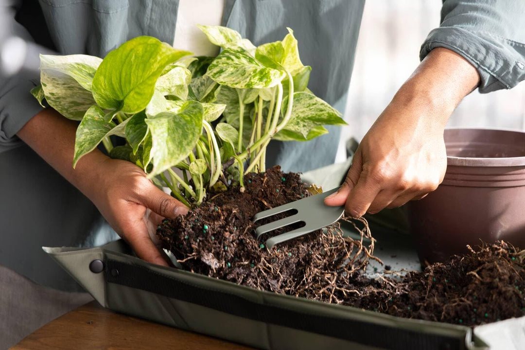 Fiskars Urban Plant Care Pflanzwerkzeuge Set, 3-TLG, Basic-Kit für die Pflanzenpflege, Platzsparende