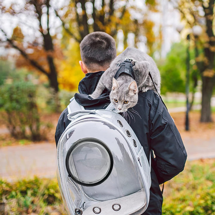 Galatée Katzen Rucksack Träger, Hund, Haustier Rucksack Blasen Rucksack, wasserdichte, Klare Haustie