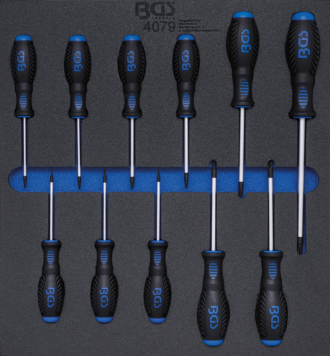 BGS 4079 | Werkstattwageneinlage 2/3: Schraubendreher T-Profil (für Torx) | T6 - T40 | 11-tlg. Satz,