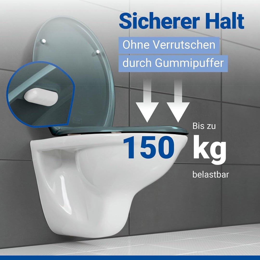 WENKO WC-Sitz Ottana Dunkelgrau, hygienischer Toilettensitz mit Absenkautomatik, WC-Deckel mit Fix-C